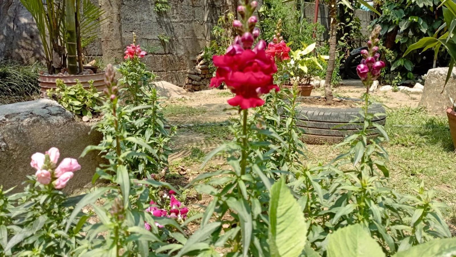 Cherry Garden Pokhara Exterior foto